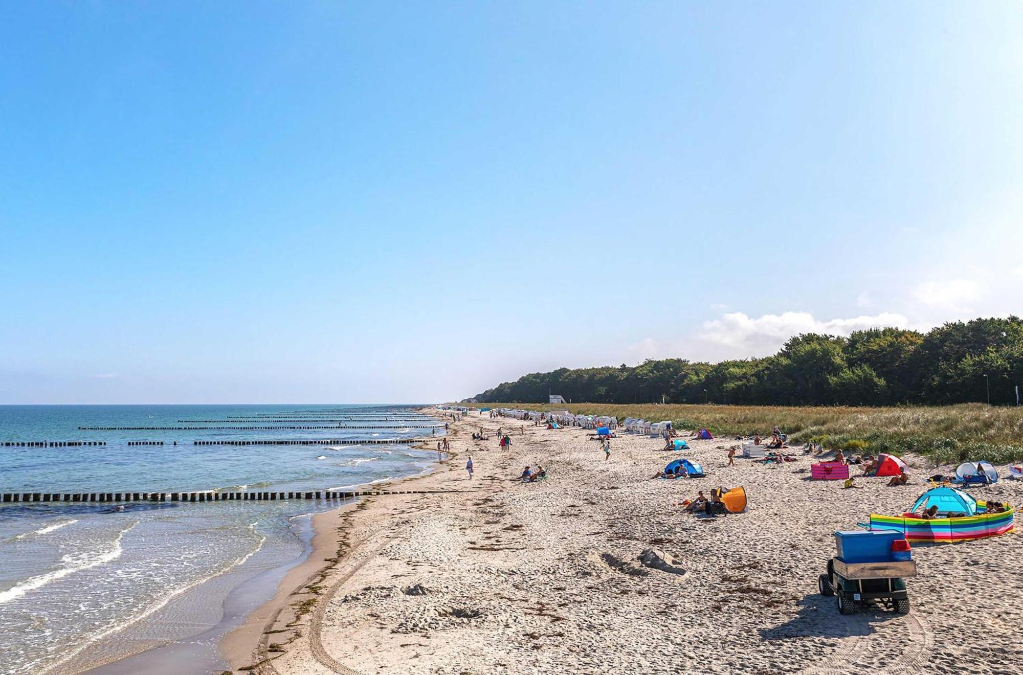Herzmuschel An Der Seebruecke Zingst Bagian luar foto